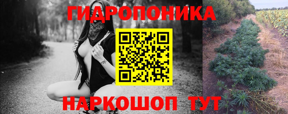 Бошки Шишки VHQ  Конопля SATIVA & INDICA  Вход с VPN  Сунжа  Конопля Bruce Banner 